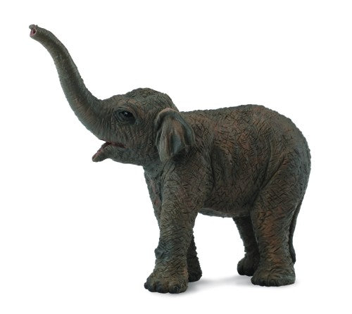Asian Elephant Calf  Figurine - Small  - Collecta