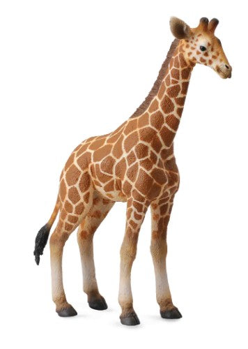 Large Reticulated Giraffe Calf figurine by Collecta, featuring intricate details and patterns, perfect for wildlife collectors.