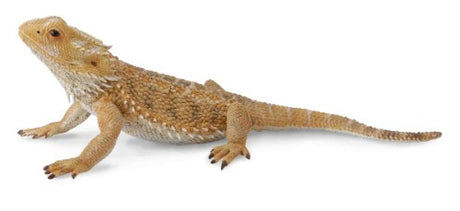 Lifelike large Bearded Dragon figurine by Collecta, showcasing detailed textures and colors for reptile collectors.