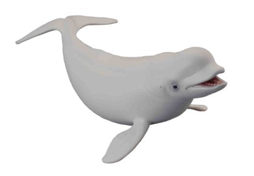 Beluga Whale  Figurine - Large  - Collecta
