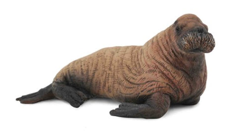 Medium-sized walrus calf figurine by Collecta, showcasing detailed craftsmanship and vibrant colors, perfect for collectors.