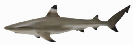 Medium Blacktip Reef Shark figurine by Collecta, showcasing realistic details and black-tipped fins for marine life enthusiasts.