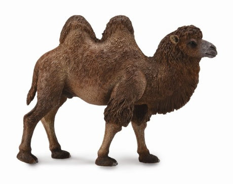 Large Bactrian Camel figurine by Collecta, showcasing intricate details of its two humps and lush fur, perfect for collectors.