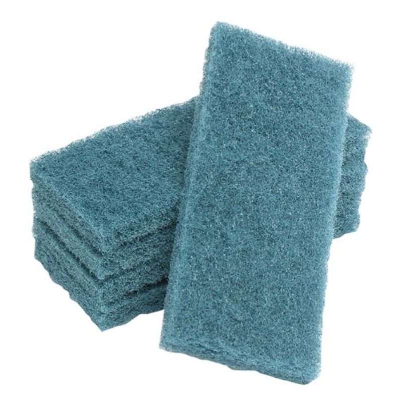 Premium blue scouring pad pack of 10, 115mm x 250mm, durable for tough scrubbing tasks and effective against grime.