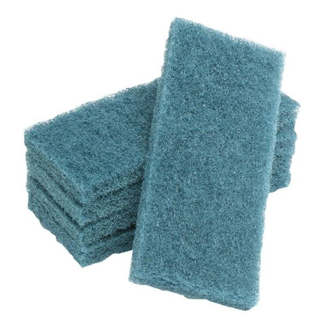 Premium blue scouring pad pack of 10, 115mm x 250mm, durable for tough scrubbing tasks and effective against grime.