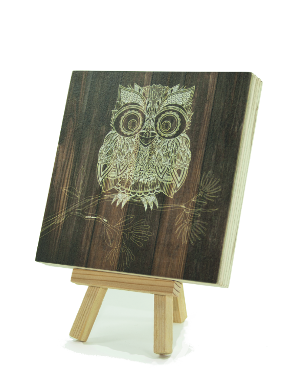 Art Block Plywood featuring a Morepork design, made from eco-friendly pine, ready to hang, 120x120mm size.