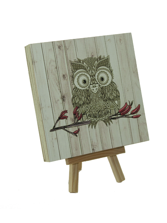 Light wood art block featuring Morepork owl print on eco-friendly plywood, ready to hang, perfect for home decor.