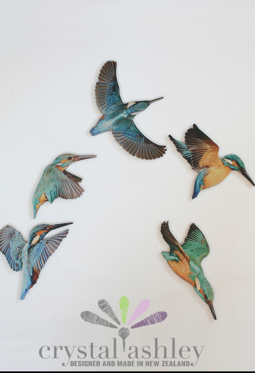 Colorful kingfisher bird set wall art printed on brushed silver ACM, ideal for nature lovers, suitable for indoor and outdoor use.