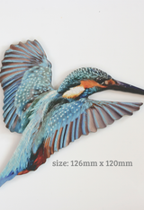 Vibrant kingfisher wall art set on brushed silver ACM, perfect for bird lovers and nature-inspired decor.