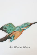 Vibrant kingfisher wall art set printed on lightweight ACM, featuring five unique bird designs for nature-inspired decor.