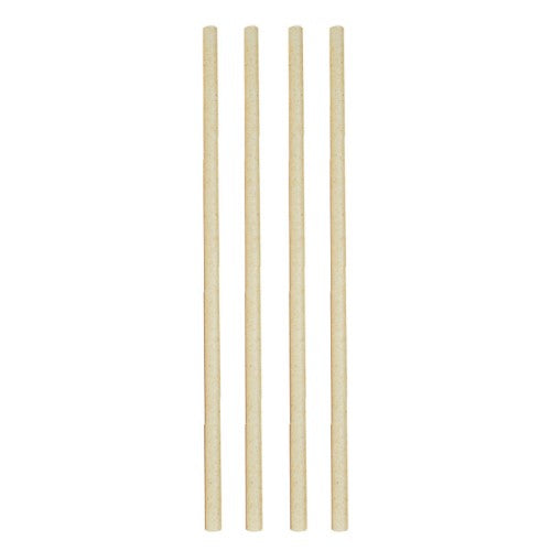 Sugar Cane Straws - Avanti 23cm (Set of 50)