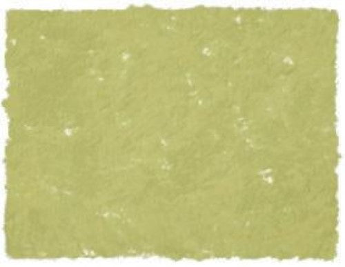 AS Square Pastel in Sap Green A, featuring a soft creamy texture, perfect for vibrant strokes and detailed artwork.