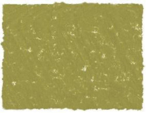 AS Square Pastel Sap Green B, featuring vibrant pigmentation and smooth texture for versatile artistic applications.