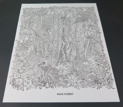 Colorful rainforest-themed doodle art poster, perfect for family creativity and personal artistic expression.