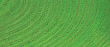 BASIC DYE in vibrant Jacquard Green for versatile crafting on acrylic fibers, wood, and more, packaged in 14.17g.