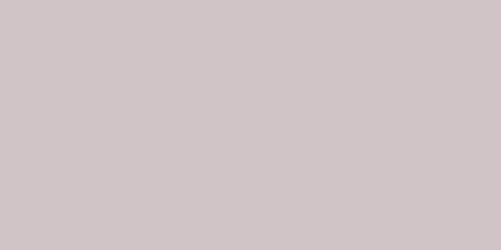 NEOPAQUE Concrete Grey paint in 66.54ml for maximum opacity on various surfaces, ideal for artists and crafters.