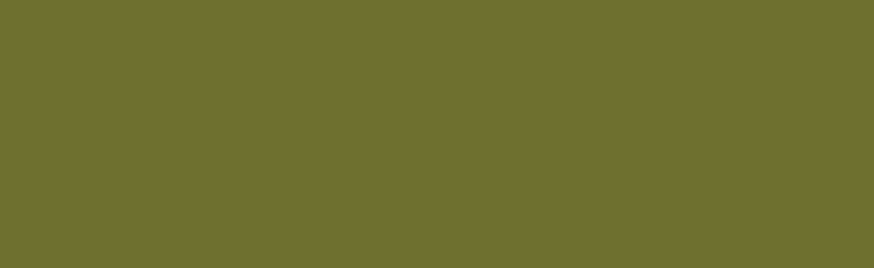 Jacquard Airbrush Paint in Military Green, 118.29ml; versatile, durable, non-toxic acrylic for various art projects.