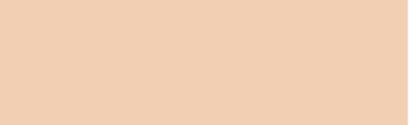 Jacquard Tanned Leather Airbrush Paint in 118.29ml, ideal for custom art on leather, fabric, and more, offering vibrant, durable coverage.