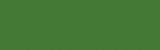 Dissolvable dye packet in vibrant Kelly Green for polyester and synthetic fabrics, ideal for crafting and cosplay projects.