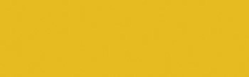 jacJA_JID447_poly-yellow_SJV02QBT6HL8.jpg