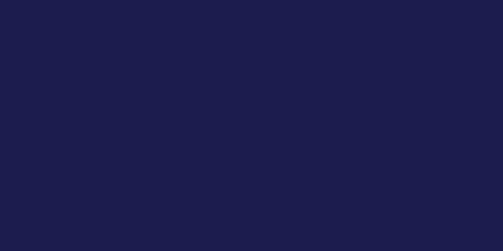 Bottle of NEOPAQUE Paint in JACQUARD NAVY 455 (66.54ml) for vibrant, durable color on various surfaces and fabrics.