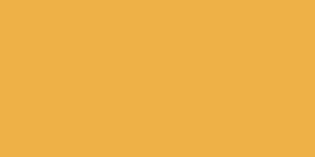 NEOPAQUE Paint in Jacquard Gold Yellow 581, 66.54ml, offers exceptional opacity for versatile use on various surfaces.