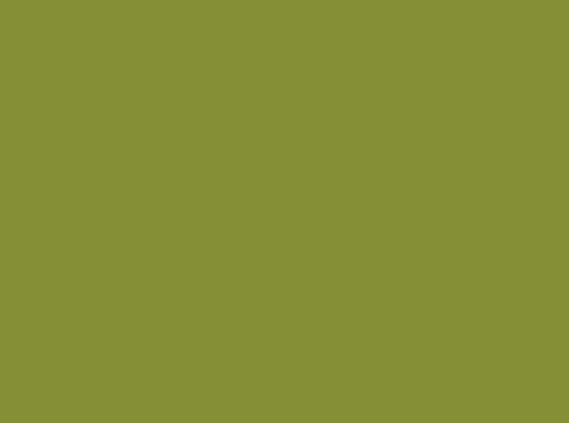 Vibrant Jacquard Avocado 107 dye powder for professional and hobbyist dyeing of cellulose fibers like cotton and linen.