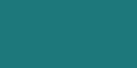 Vibrant JACQUARD TURQUOISE NEOPAQUE Paint (66.54ml) for versatile, opaque coverage on various surfaces and fabrics.