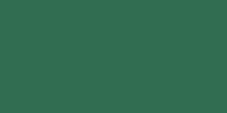Vibrant Jacquard Green NEOPAQUE paint in a 66.54ml bottle, designed for exceptional coverage on various surfaces.