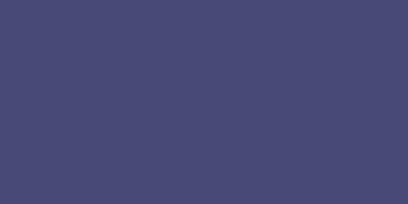 Vibrant NEOPAQUE Paint in Jacquard Violet 586, perfect for artists, fabric, leather, and other surfaces, offers 66.54ml of rich coverage.