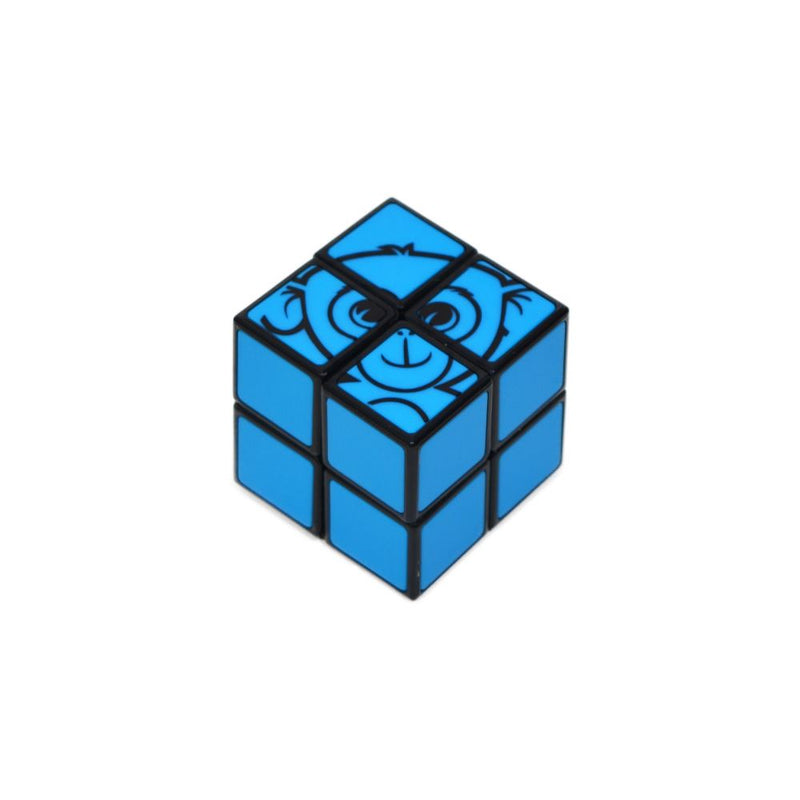 junior_2x2_cube_1_RHH7OMGGYK2C.jpg