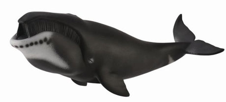 Hand-painted Bowhead Whale figurine, 22.3cm long, showcasing intricate details and marine beauty, perfect for collectors and decor.