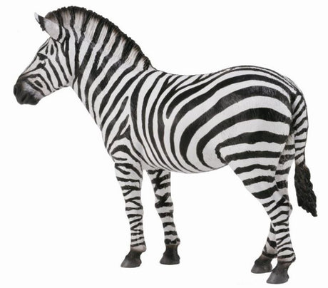 Hand-painted 12.4cm Zebra Common figurine showcasing intricate black and white stripes, perfect for play or decor.