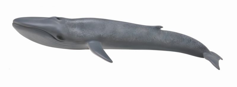 Figurine - Blue Whale (28.4cm)