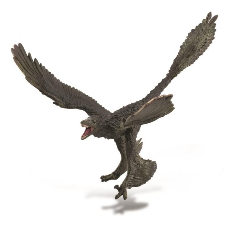Figurine - Microraptor (20cm)