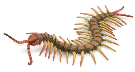 Realistic 18cm centipede figurine, hand-painted, non-toxic PVC, perfect for educational fun and nature exploration for ages 3+.