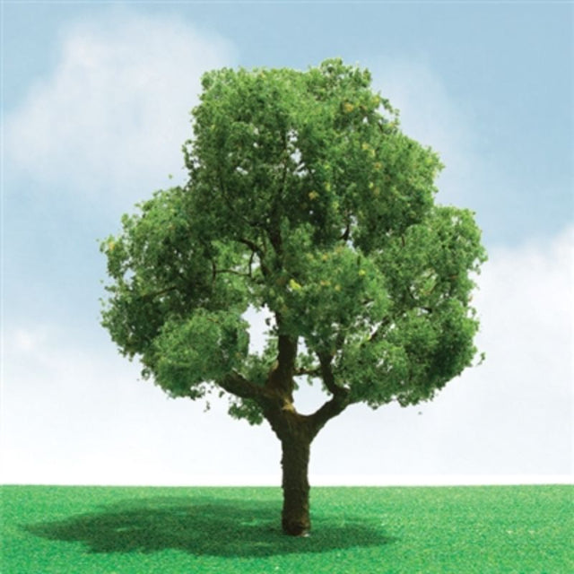 Three vibrant 35-50mm deciduous trees, perfect for enhancing model landscapes and dioramas with realistic details.