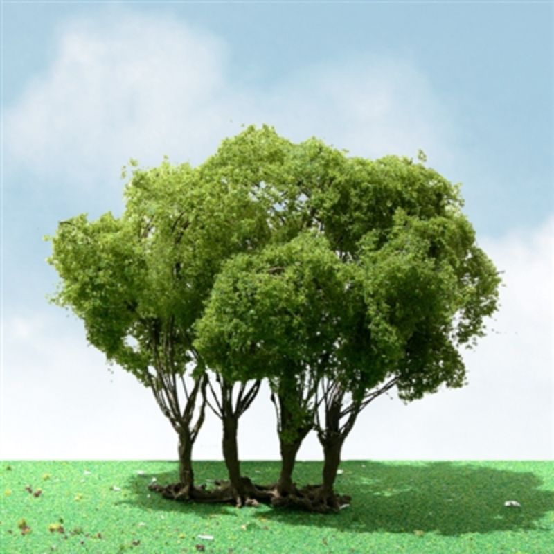 Realistic 75-85mm privet plants enhance model landscapes with elegance and lifelike detail for dioramas and train sets.