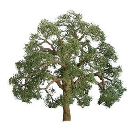 Detailed 125mm live oak model tree, perfect for dioramas and miniature landscapes, adding realism and visual appeal.