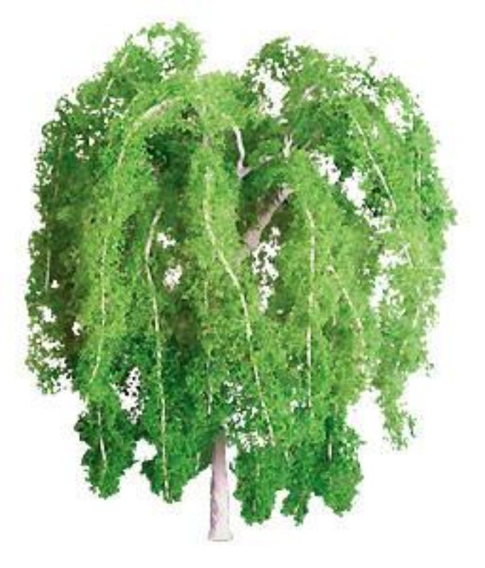 A 140mm weeping willow model tree with lush drooping branches, perfect for enhancing miniature landscapes and dioramas.