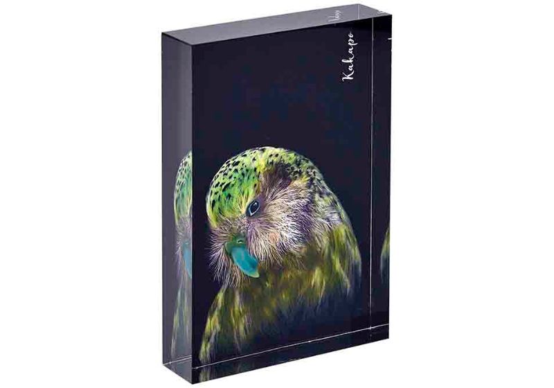 Mini Gallery - Majestic Birds Kakapo (Set of 3)