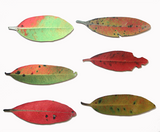 Elegant wall art featuring six printed Pohutukawa leaves on brushed silver ACM, ideal for enhancing indoor and sheltered outdoor spaces.