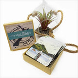 Coasters Set - Mt Maunganui featuring acrylic design, cork base, and elegant matte finish for stylish beverage protection.