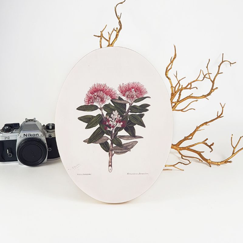 Wall art featuring Sarah Featon's vibrant Pohutukawa, crafted from eco-friendly pine ply, perfect for enhancing home decor.