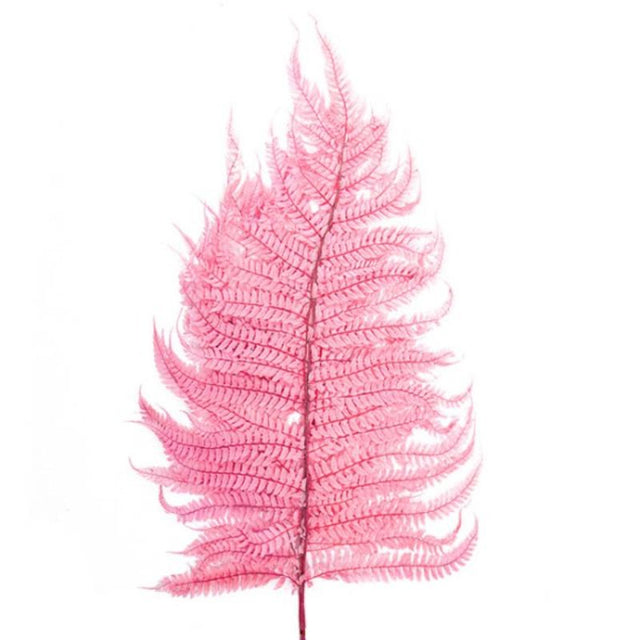 Lifelike pink dried leatherleaf fern stems, 70cm, perfect for elegant home decor or event styling.