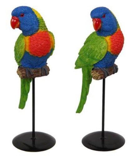 Vibrant lorikeet on a sturdy stand, a beautiful decor piece for bird lovers, enhancing any indoor space with tropical charm.