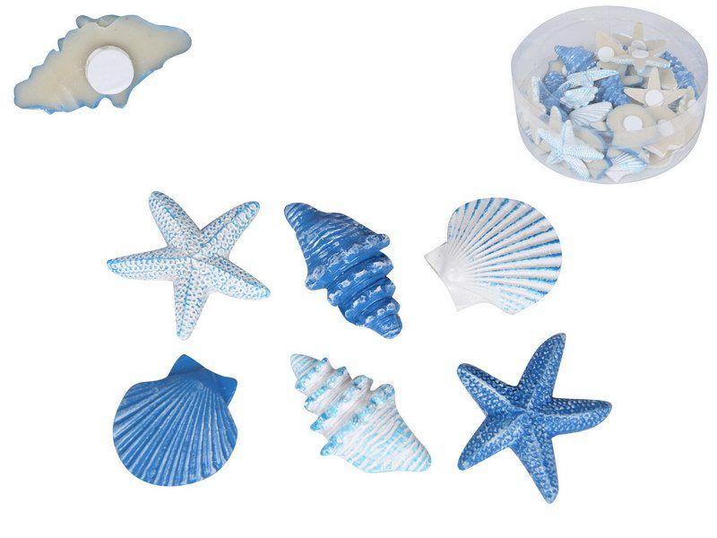 Mini Craft Shells in Display (Pack of 36)