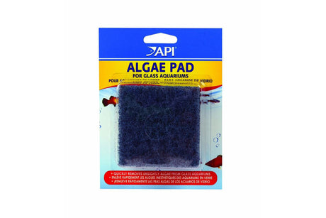 Aquatic API Algae Pad for Glass - compact cleaning tool for effective algae removal in aquariums, 8 x 8 cm size.