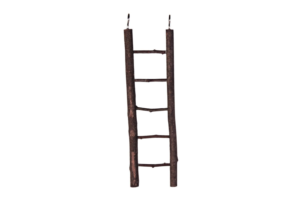 Natural wooden bird ladder, 26cm with 5 rungs, promotes climbing and play for small to medium birds in their cage.