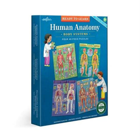 Colorful 48-piece puzzles of human anatomy highlighting Skeletal, Muscular, Digestive, Nervous, Reproductive, and Endocrine systems.